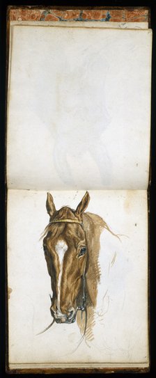'Horse's Head', c1817-1873. Artist: Edwin Henry Landseer