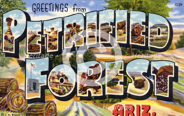 'Greetings from Petrified Forest, Arizona', postcard, 1941. Artist: Unknown