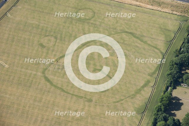 Enclosure and ring ditch crop marks near Minster, Kent, 2015. Creator: Historic England.