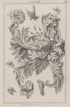 Acanthus Leaves, Birds and Insects, no. CCCLXXII ("Designs for Various Ornaments,..., April 1, 1792. Creator: Michelangelo Pergolesi.