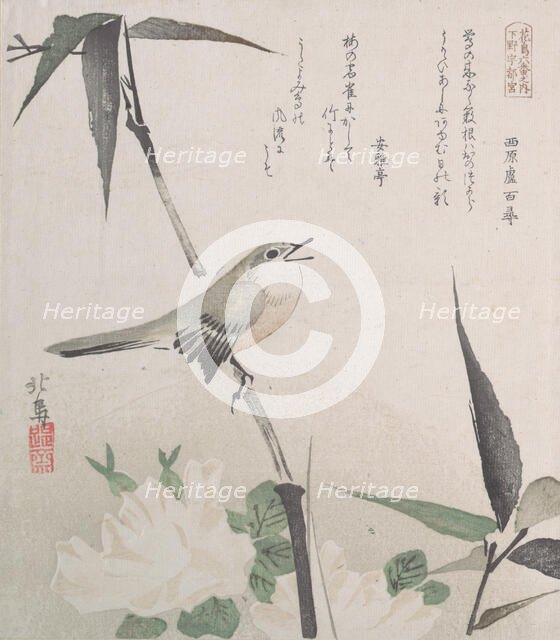 Roses and Bamboo with Nightingale, 19th century., 19th century. Creator: Hokuba.