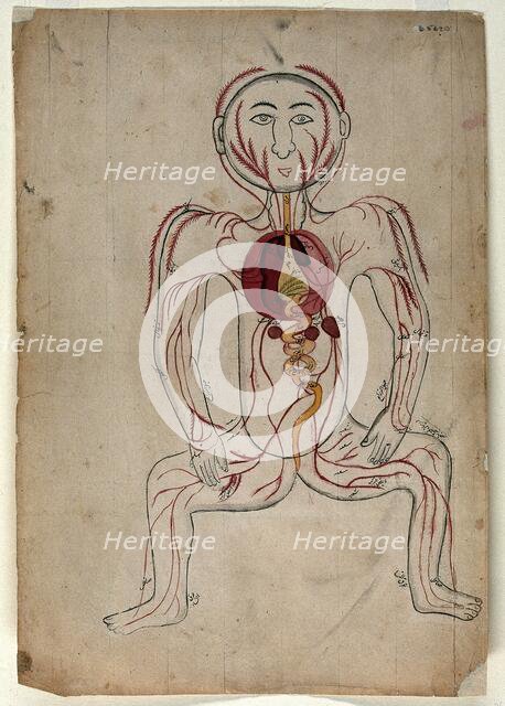 The viscera and the venous system, (between 1800 and 1899?). Creator: Unknown.