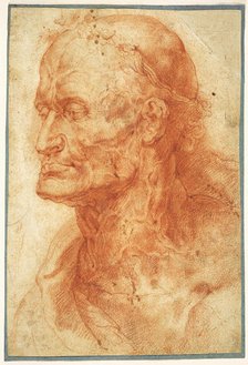 Study of an Old Man's Head, ca 1602. Creator: Rubens, Pieter Paul (1577-1640).