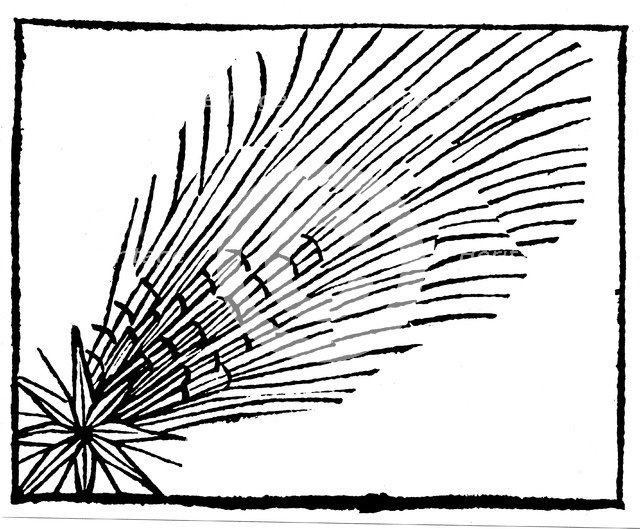 Comet of 684 (Halley), 1493. Artist: Unknown
