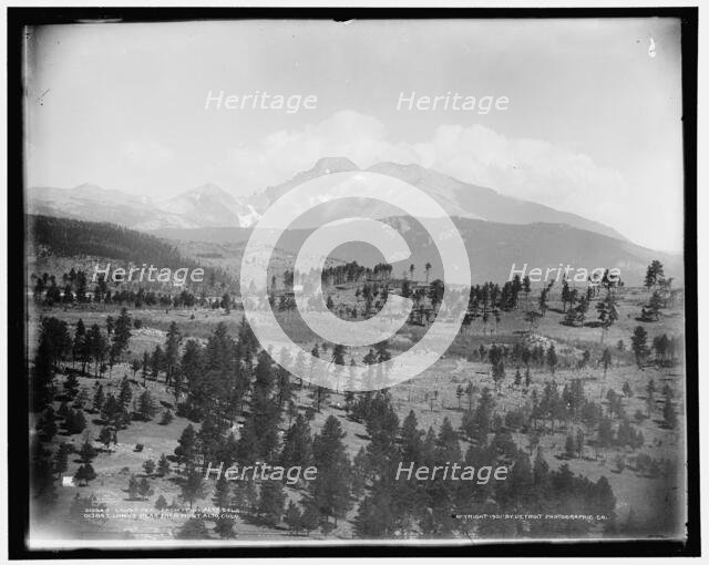 Long's Peak from Mont Alto, Colo., c1901. Creator: William H. Jackson.