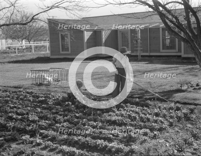 El Monte federal subsistence homesteads, California, 1936. Creator: Dorothea Lange.