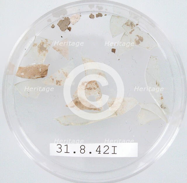 Glass Fragments, Coptic, 4th century. Creator: Unknown.