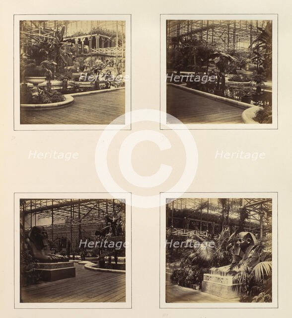 [View in Tropical Department; View of Egyptian Sphinxes], ca. 1859. Creator: Attributed to Philip Henry Delamotte.