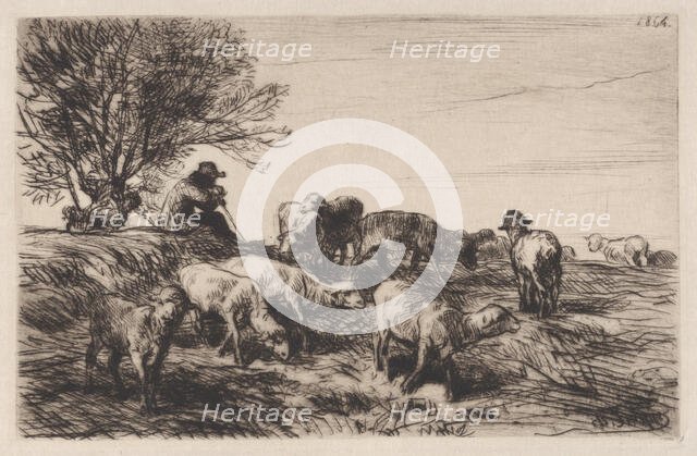 Herd of Sheep, 1864. Creator: Charles Emile Jacque.