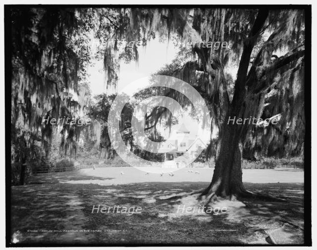 Ashley Hall, Magnolia-on-the-Ashley, Charleston, S.C., c1907. Creator: Unknown.
