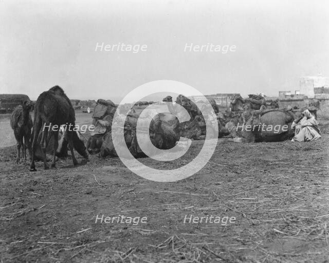 Travel views of Morocco, 1904. Creator: Arnold Genthe.
