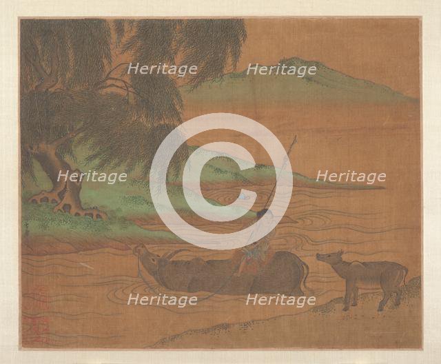 Water Buffalo. Creator: Unknown.