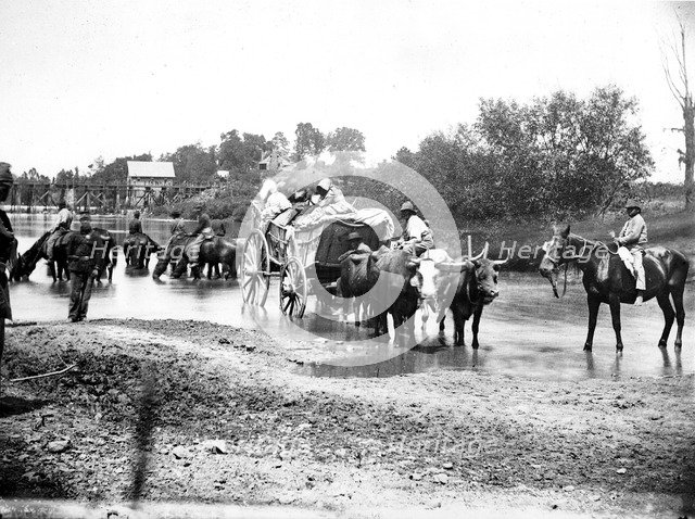 Black refugees travelling in a bullock cart, American Civil War, 1861-1865. Artist: Unknown