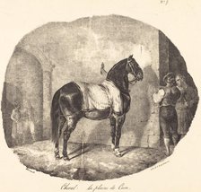 Cheval de la plaine de Caen, 1822. Creator: Theodore Gericault.