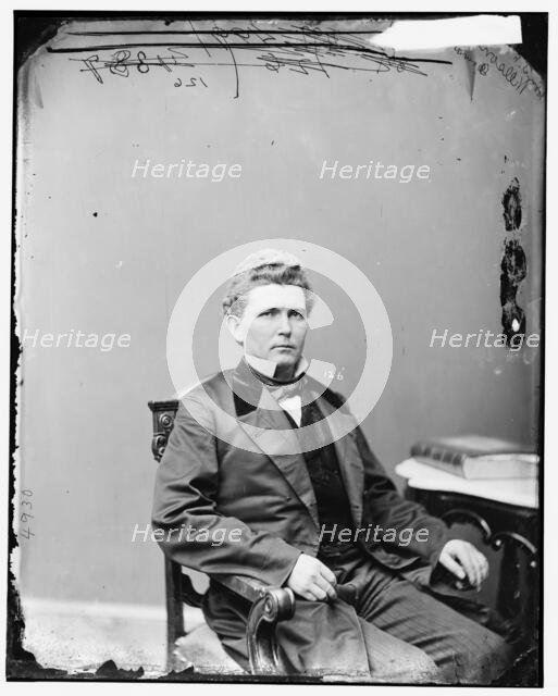 James Falconer Wilson of Iowa, between 1865 and 1880.  Creator: Unknown.
