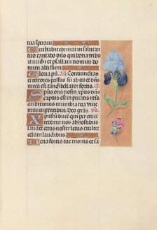 Hours of Queen Isabella the Catholic, Queen of Spain: Fol. 58r, c. 1500. Creator: Master of the First Prayerbook of Maximillian (Flemish, c. 1444-1519); Associates, and.