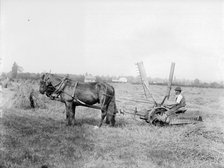 Harvesting in Oxfordshire, c1860-c1922. Artist: Henry Taunt