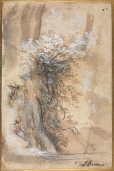 Flowering Bush above an Eroded Bank, 1565-1570. Creator: Federico Barocci (Italian, 1528-1612).
