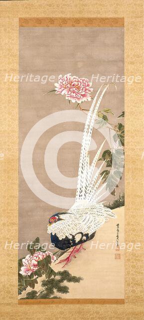 Silver Pheasant and Peonies, 1793. Creator: Ito Jakuchu.
