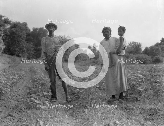 A Mississippi Negro family who live on a cotton patch near Vicksburg, 1936. Creator: Dorothea Lange.