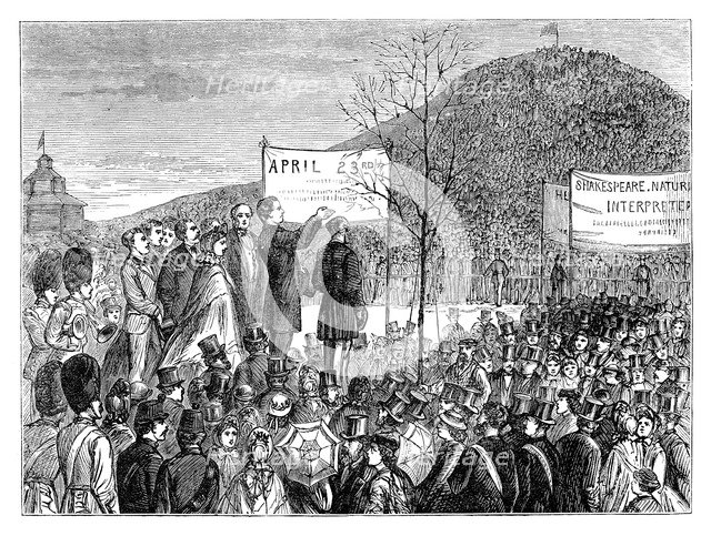 Mr Phelps planting 'Shakespeare's Oak' at Primrose Hill, London, 1864 (late 19th century). Artist: Unknown