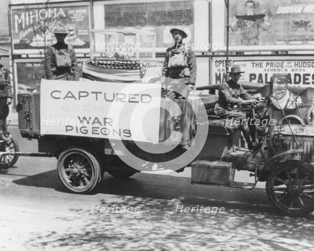 'Captured German War Pigeons', Fort Sheridan, Illinois, USA, 1915. Artist: Unknown