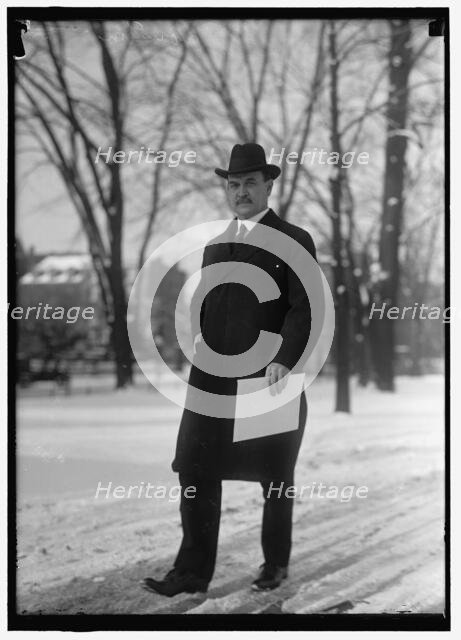 Houston, David Franklin, Secretary Of Agriculture, between 1914 and 1918. Creator: Harris & Ewing.