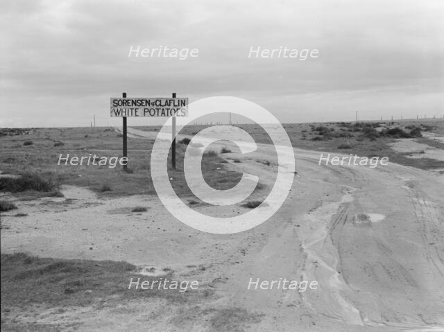 Large-scale agriculture, beside U.S. 99, Kern County, California , 1939. Creator: Dorothea Lange.