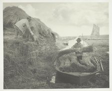Ricking the Reed, 1886. Creator: Peter Henry Emerson.