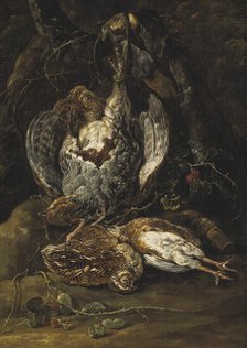 Still Life with Quails and a Partridge. Creator: Jan Fyt.