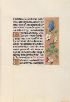 Hours of Queen Isabella the Catholic, Queen of Spain: Fol. 48r, c. 1500. Creator: Master of the First Prayerbook of Maximillian (Flemish, c. 1444-1519); Associates, and.