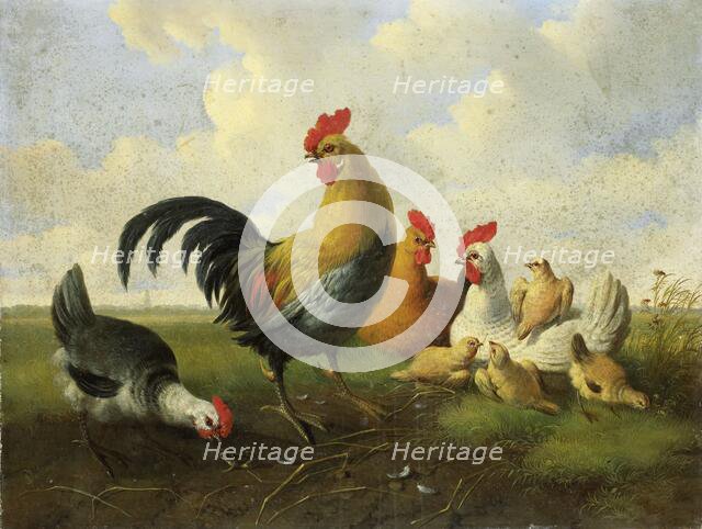 A Rooster with Hens and Chicks, 1855. Creator: Albertus Verhoesen.