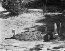Sharecropper's grave, Hale County, Alabama, 1936. Creator: Walker Evans.