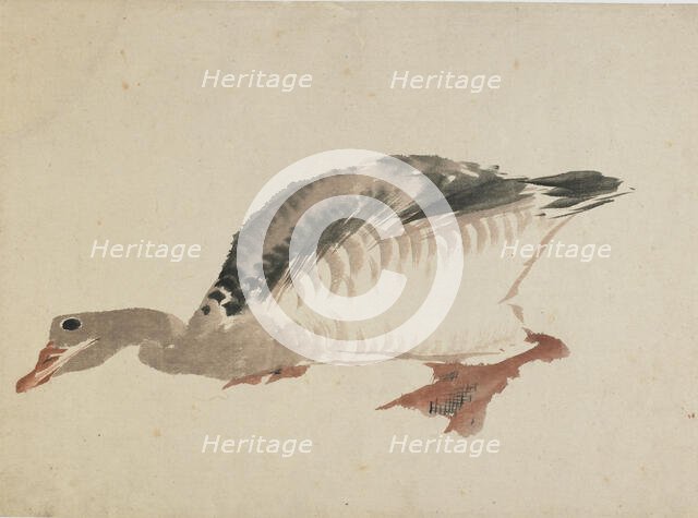 Goose, late 18th-early 19th century. Creator: Hokusai.