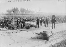 Belg.[i.e., Belgium], burying horses after battle, 1914. Creator: Bain News Service.