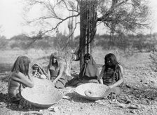 Maricopa group, Arizona. Four women and a child seated on ground with three large basket trays,c1907 Creator: Edward Sheriff Curtis.