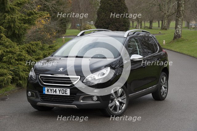 2014 Peugeot 2008 Hdi Feline Artist: Unknown.