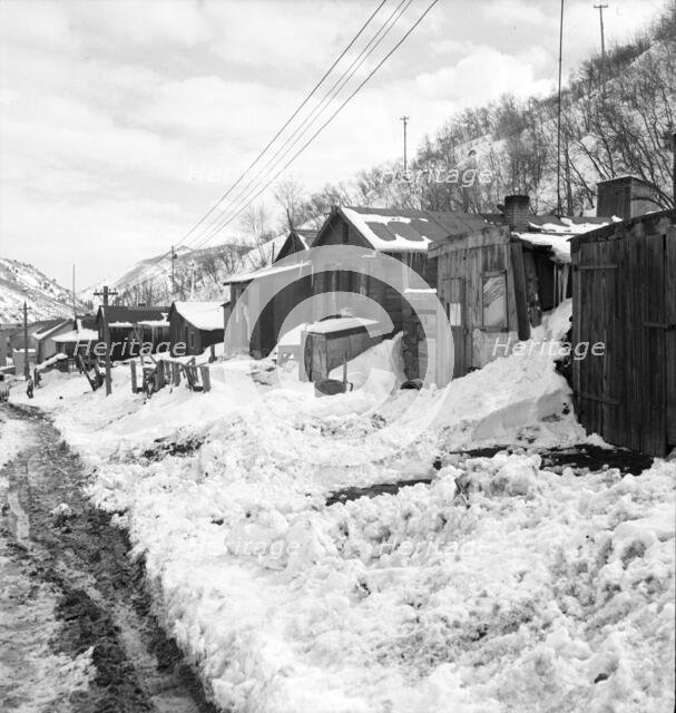 Company housing, Consumers, near Price, Utah, 1936. Creator: Dorothea Lange.
