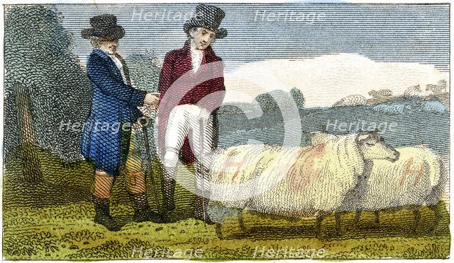 Farmers discussing Dishley (New Leicester) sheep, 1822. Artist: Unknown