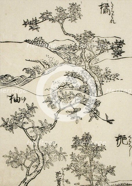Samples of Three Tree Types for Artists, 19th century. Creator: Shinsai.
