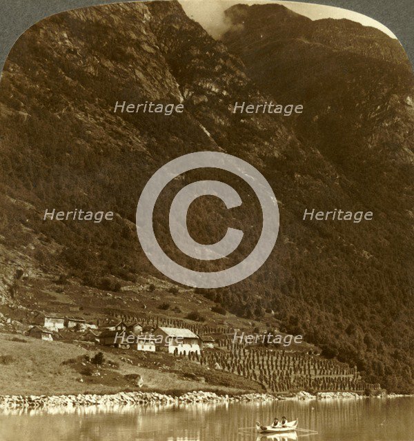 'Hogrending farm, nestling at the mountain's base, on the E. shore of Lake Loen, Norway', c1905. Creator: Unknown.