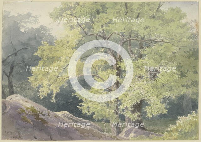 In the forest near Falkenstein, 1877. Creator: Ernst Morgenstern.