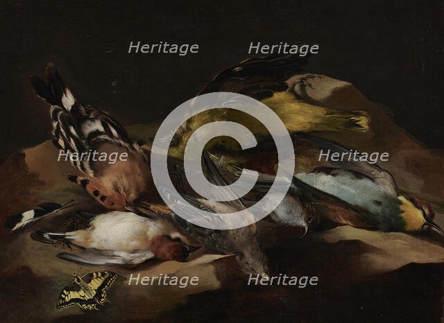 Still Life of Birds and a Butterfly, c1650. Creator: Unknown.