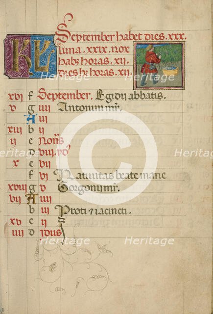 September Calendar Page; Harvesting Grapes; Book of Hours, about 1460. Creator: Unknown.