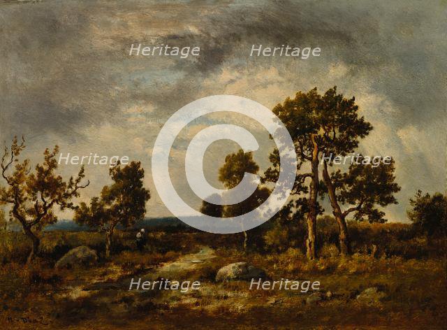 Path Near the Pond of Vipers, Fontainebleau Forest, c. 1860s. Creator: Narcisse Diaz de la Peña (French, 1807-1876).