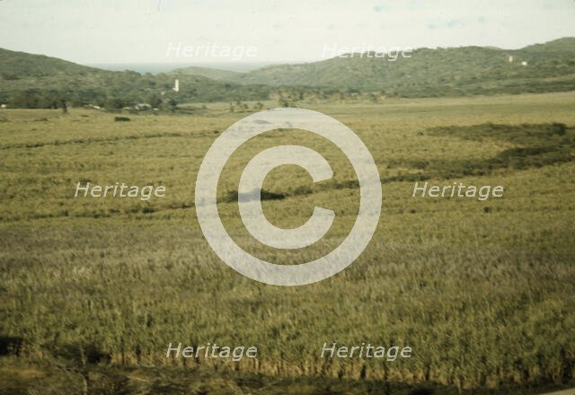 Sugar cane land, Yabucoa Valley? Puerto Rico, 1941. Creator: Jack Delano.