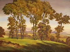 Landscape with trees, 1939. Creator: Emil Ernst Heinsdorff.
