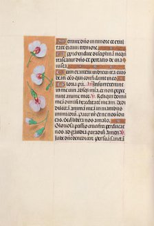 Hours of Queen Isabella the Catholic, Queen of Spain: Fol. 53v, c. 1500. Creator: Master of the First Prayerbook of Maximillian (Flemish, c. 1444-1519); Associates, and.