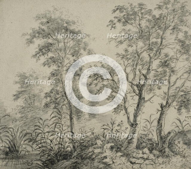 River bank with a row of trees. Creator: Anthonie Waterloo.