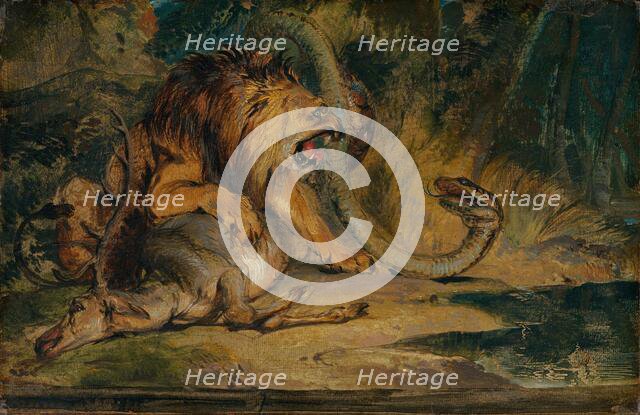 Lion Defending its Prey, c. 1840. Creator: Edwin Henry Landseer.